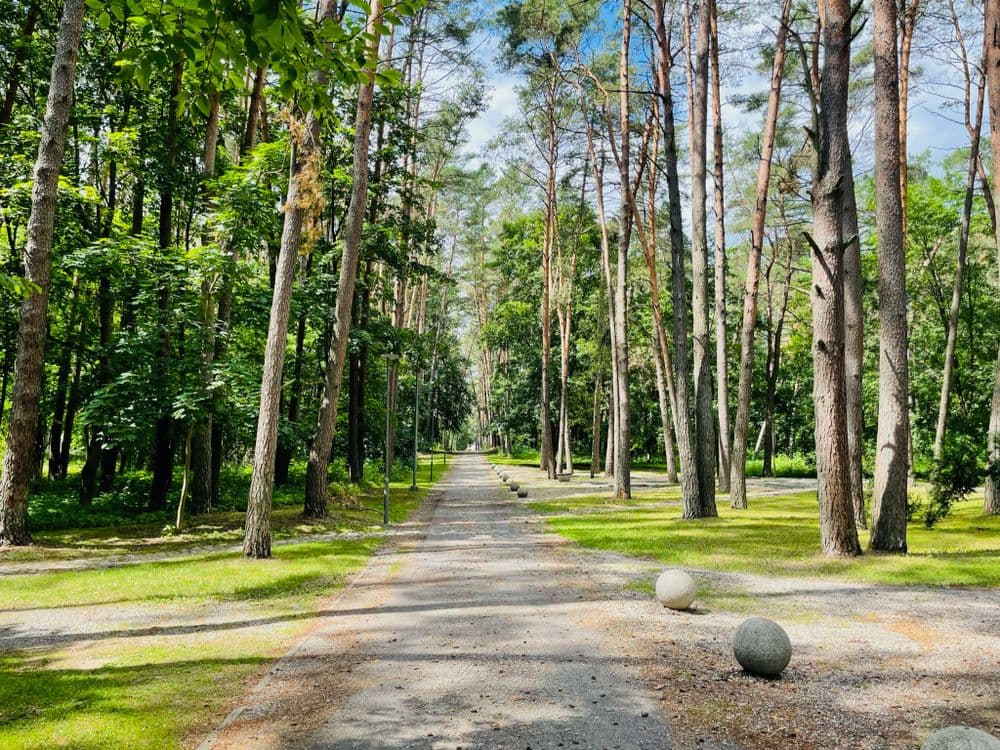 Birštono centrinis (Vytauto Jurgio Meškos) parkas