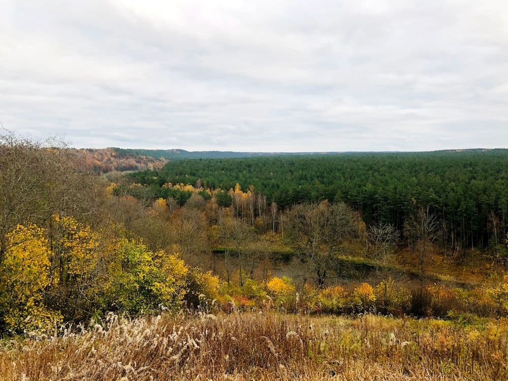 Verkšionių regykla #3