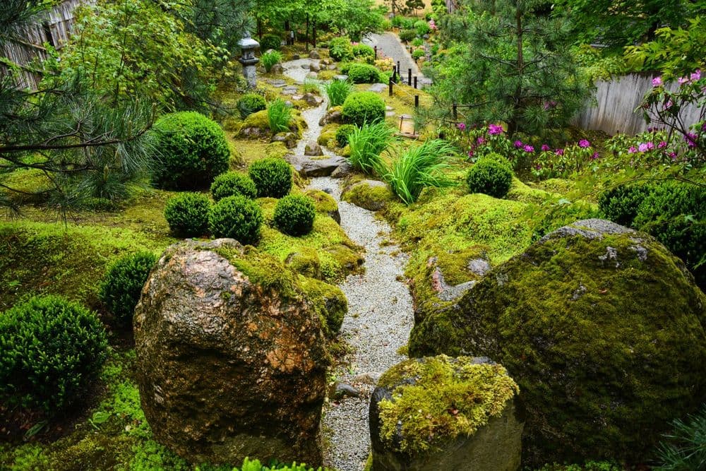 Japoniškas sodas SEI SHIN En