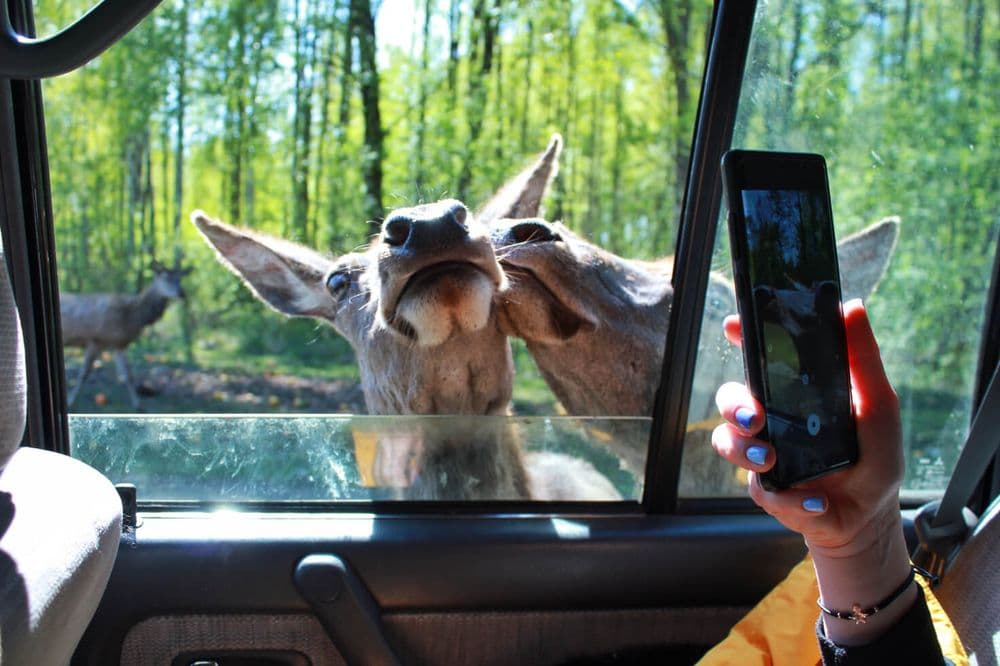 Pramogų kompleksas "Gamtos perlas" #5