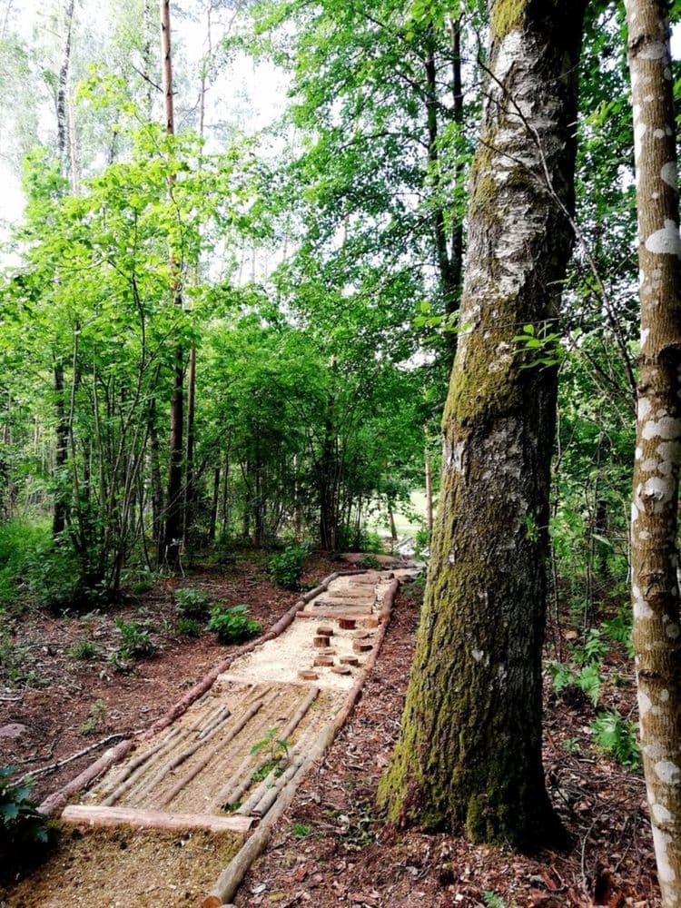 Anykščių šilelio eko basų kojų takas