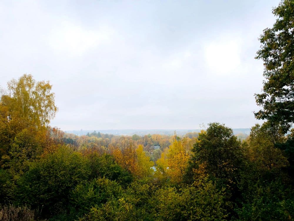 Ribiškių - Misiūnų (Pavilnių regioninio parko) regykla #4