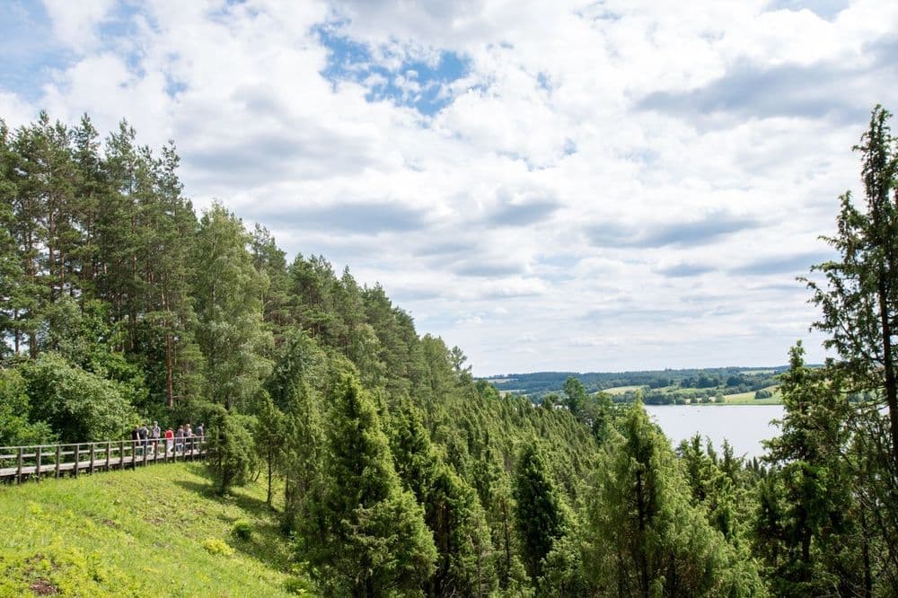 Arlaviškių pažintinis takas (Kadagių slėnis) #4