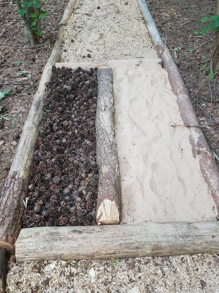 Anykščių šilelio eko basų kojų takas #4