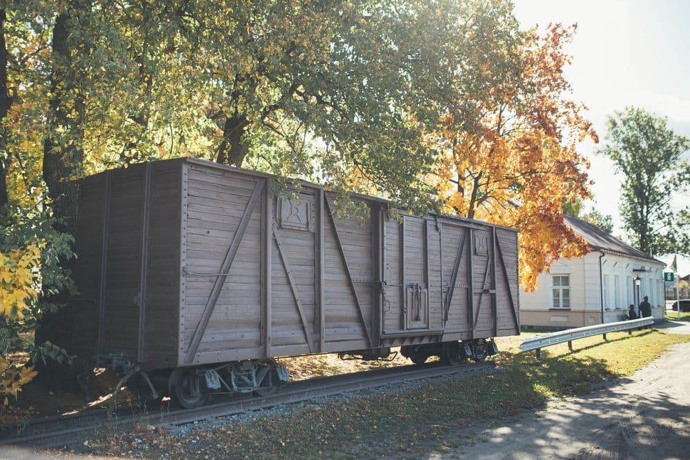 Laisvės kovų muziejus #5