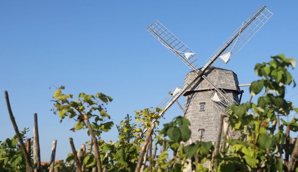 Žaliūkių malūnininko sodyba #2