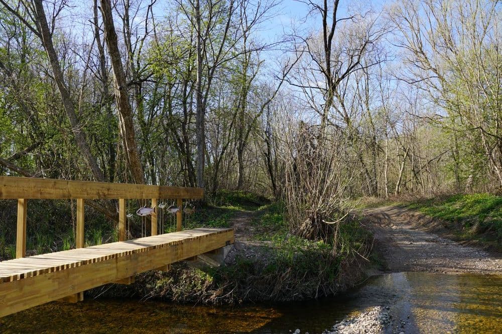 Pažintinis takas „Maironio kelias padubysiu“ #2