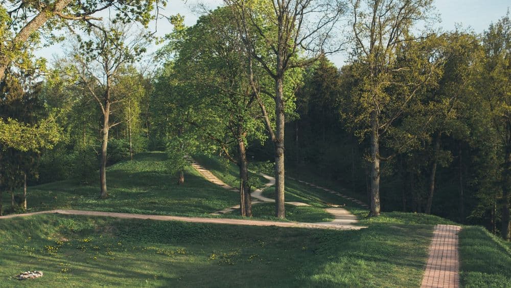 Rokantiškių piliavietė #3