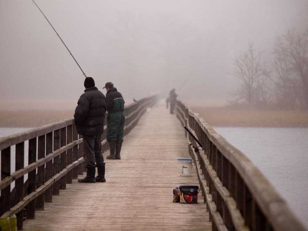 Pėsčiųjų tiltas per Širvėnos ežerą #3