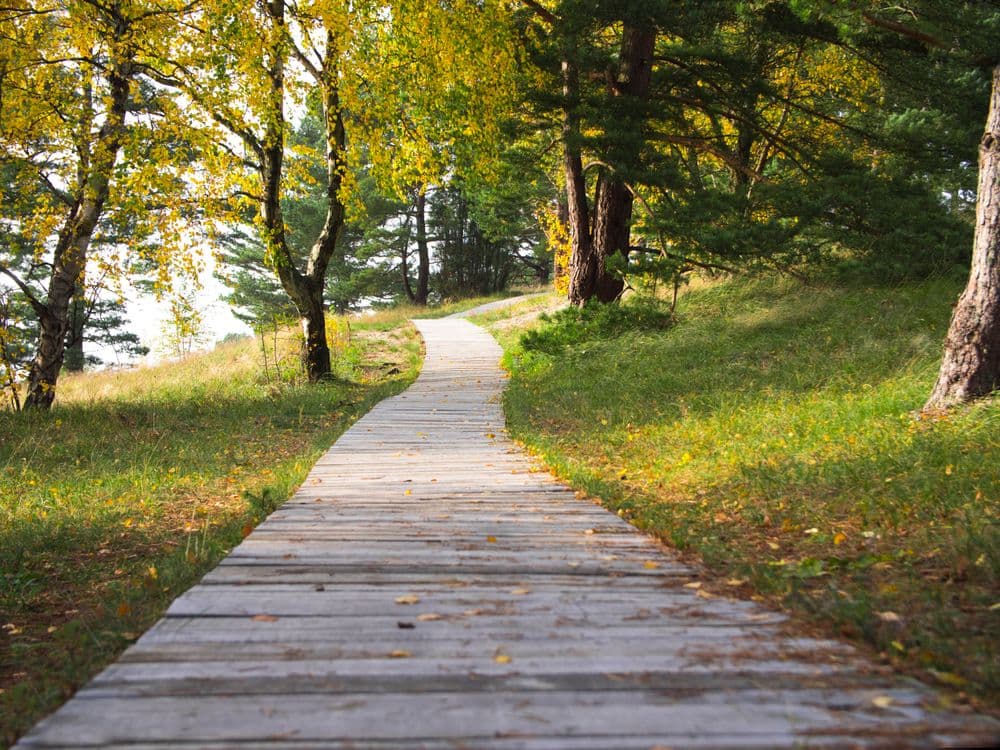 Avino kalnas (Avikalnis)