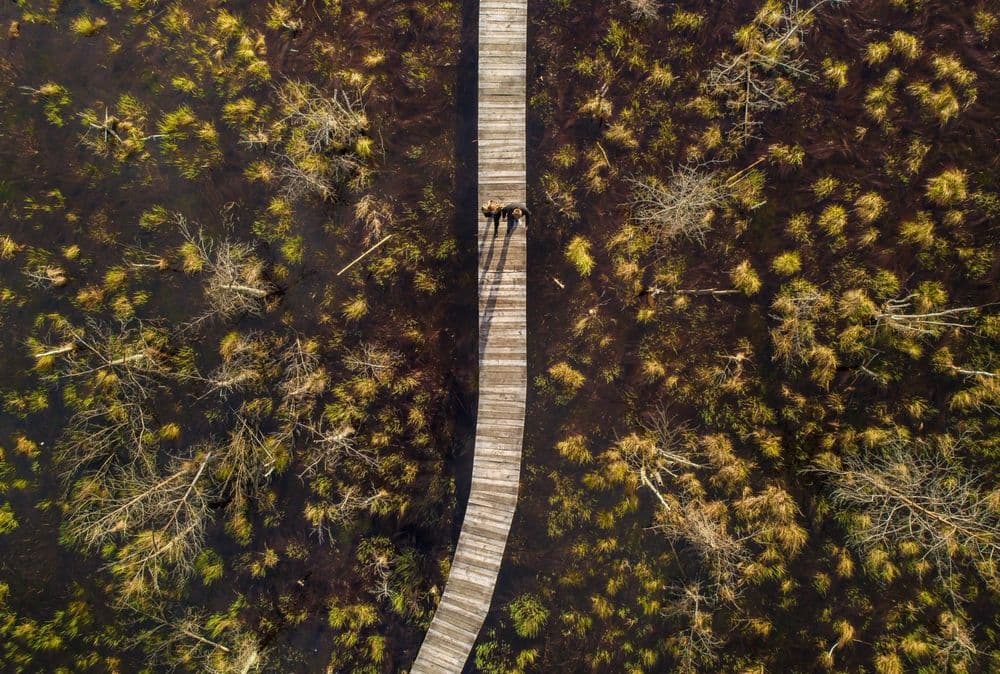 Dubravos rezervatinė apyrubė