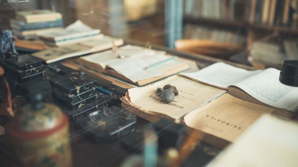 A. Baranausko klėtelė #2