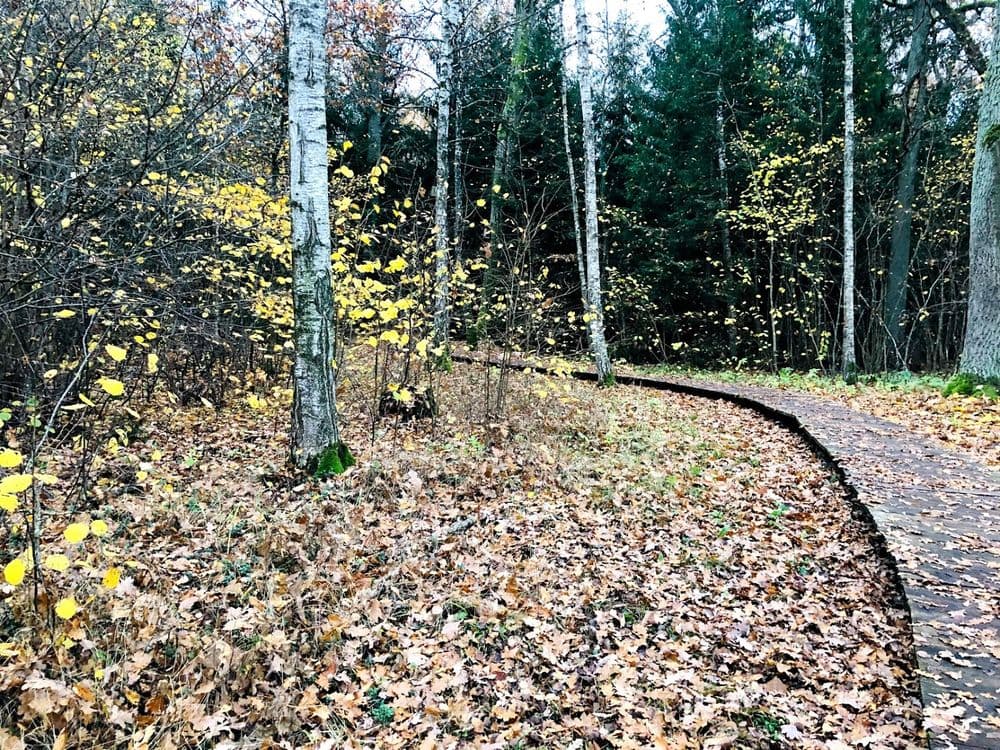 Dūkštų ąžuolyno pažintinis takas #4