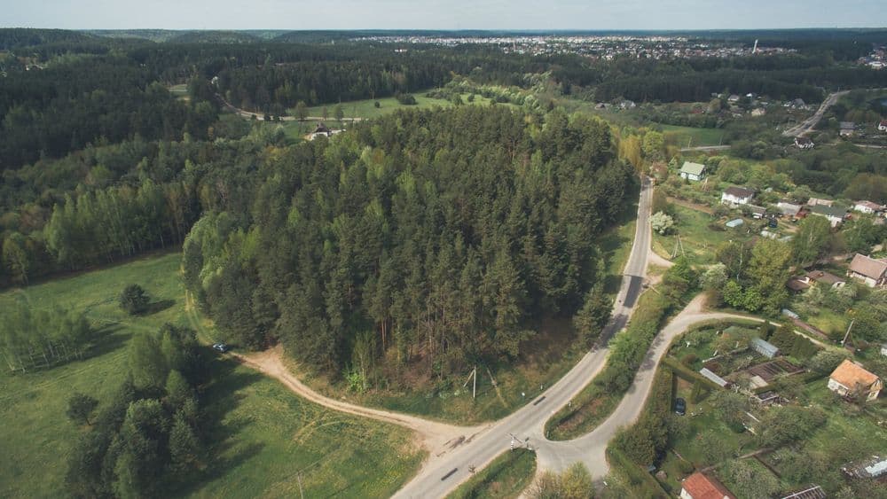 Staviškių piliakalnis #2