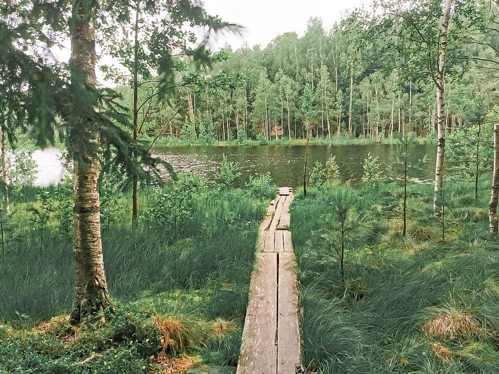 Takas aplink Ilgio ežerą #2