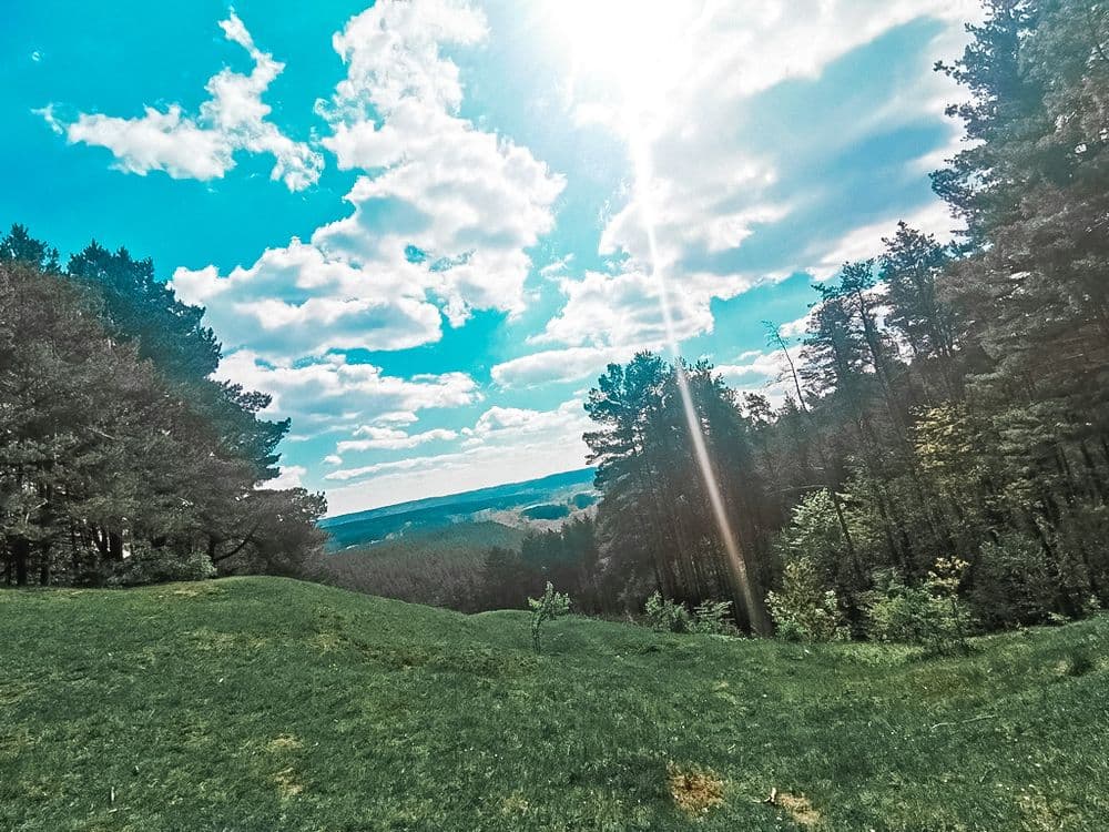 Gariūnų regykla #3