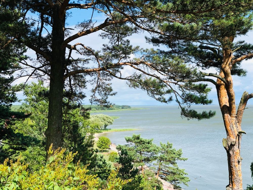 Itališkas vaizdelis