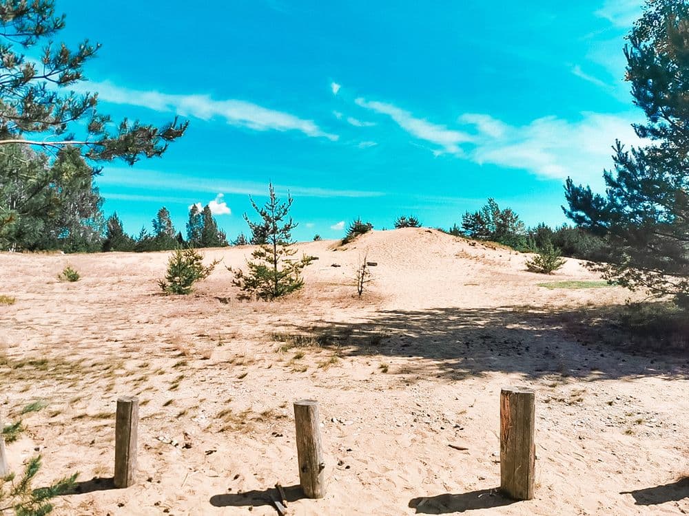 Dumsių miško žemyninė kopa