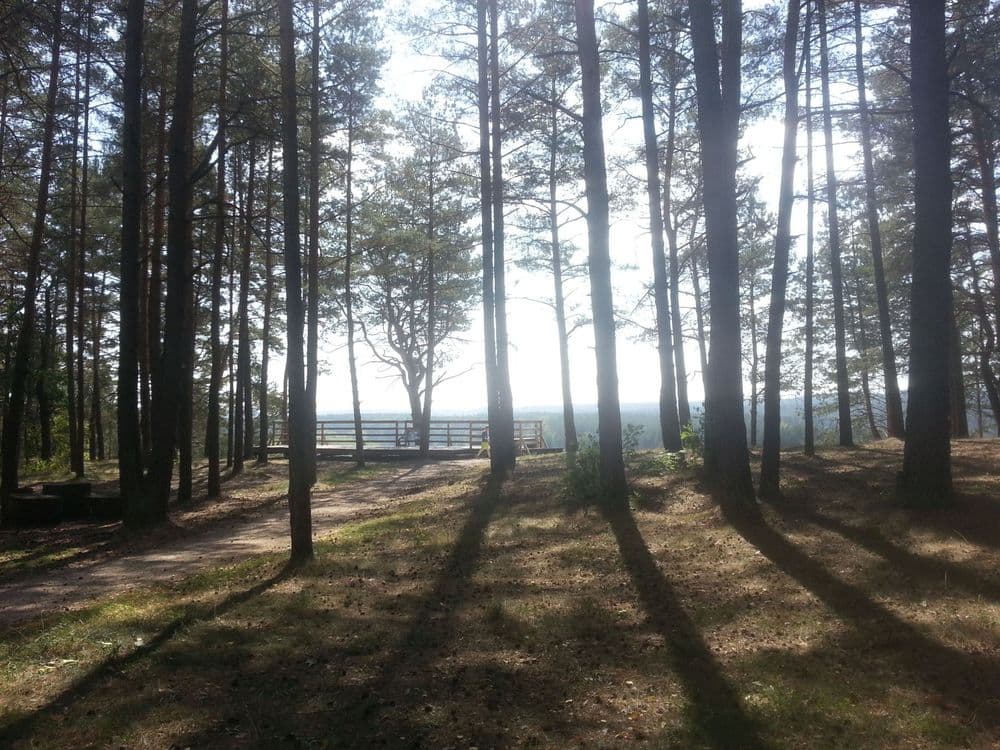 Baltojo kalno pažintinis takas #3