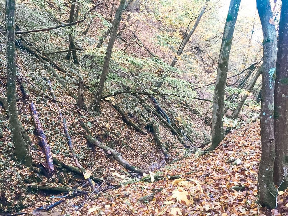 Jaučakių piliakalnis (Kartuvių kalnas)