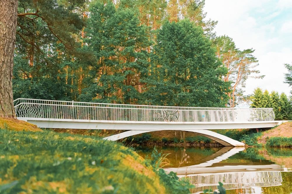 Vijūnėlės parkas #3