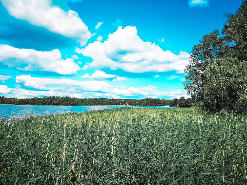 Germanto ežero pažintiniai takai #4