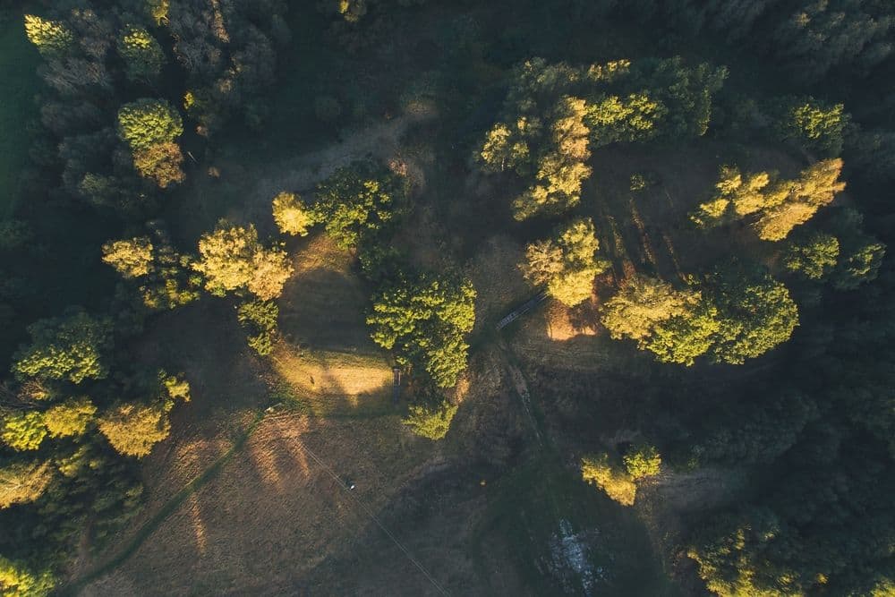 Narkūnų piliakalnis #5