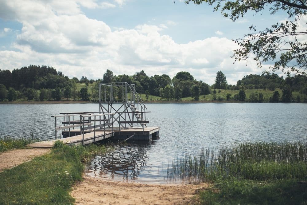 Tauragno ežero pakrantė #5