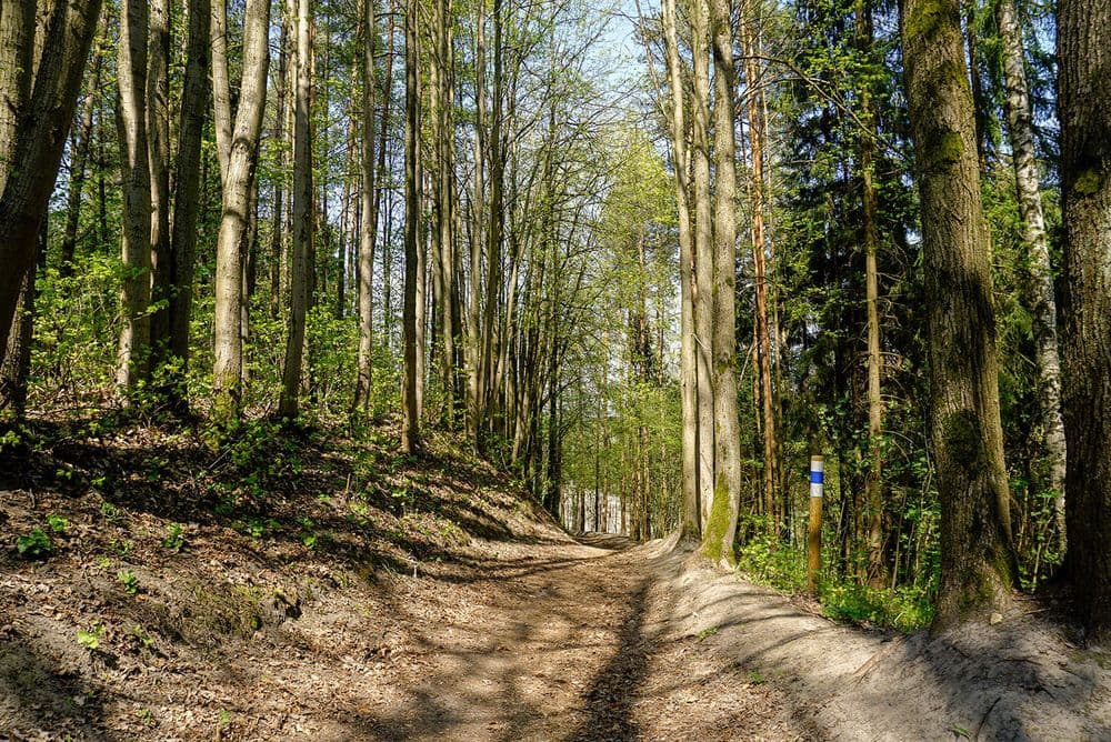 Ribiškių pažintinis takas #2