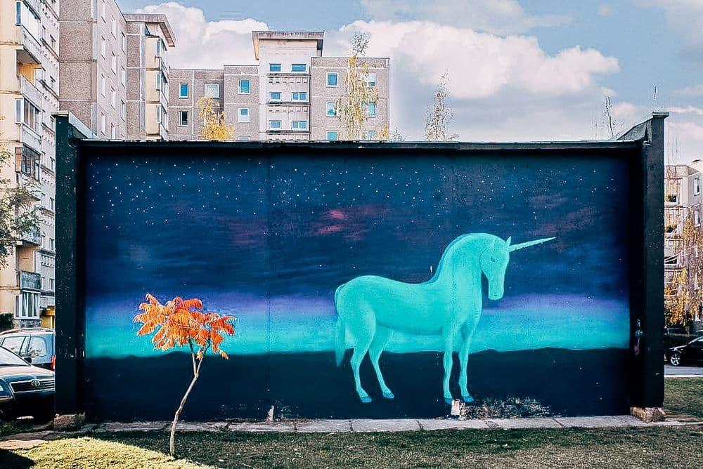 Grafitis „Vienaragis"