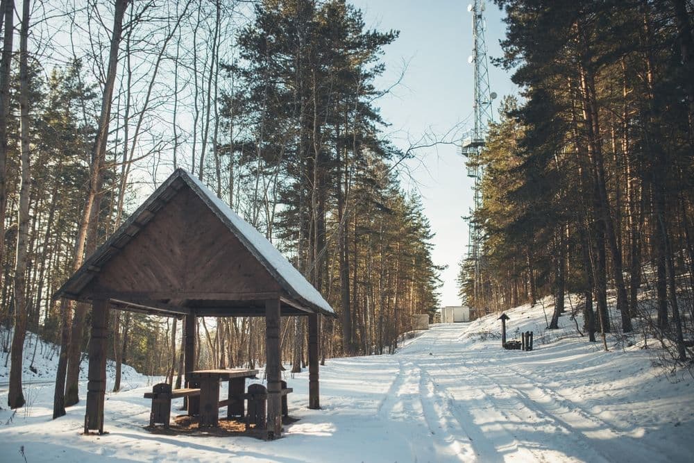 Šiliniškių (Ginučių) apžvalgos bokštas – apžvalgos aikštelė #4