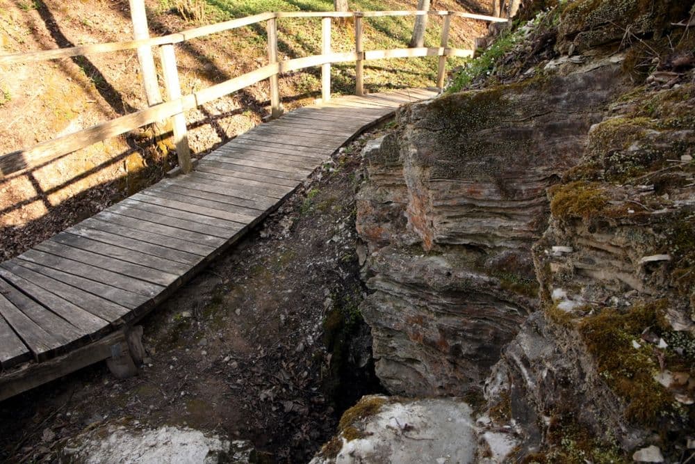 Pažintinis takas „Barsuko ola“ #2