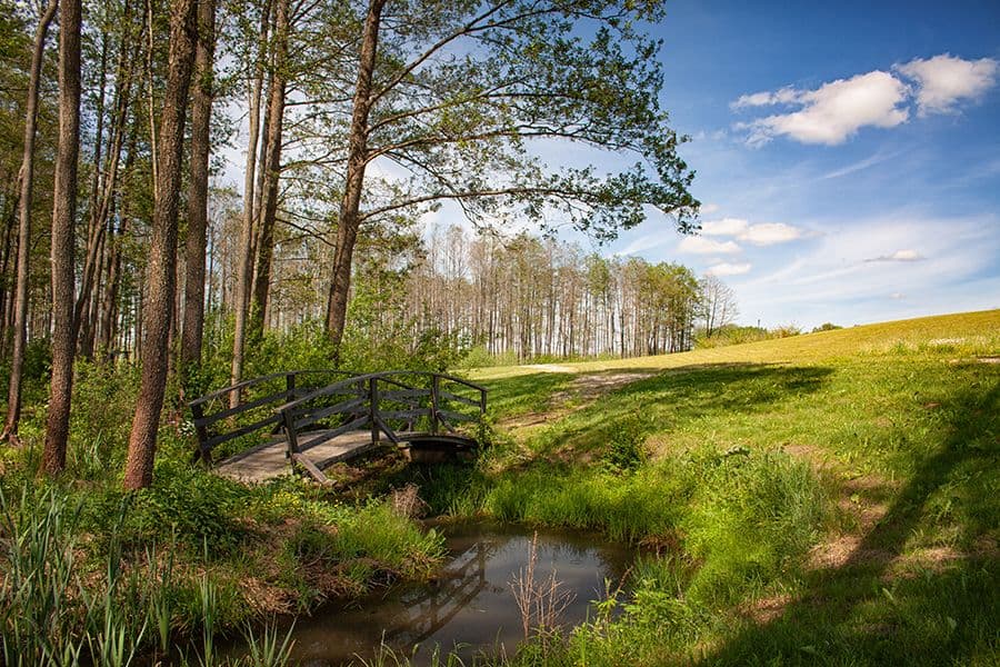 Klykūnų rekreacinė poilsiavietė #2