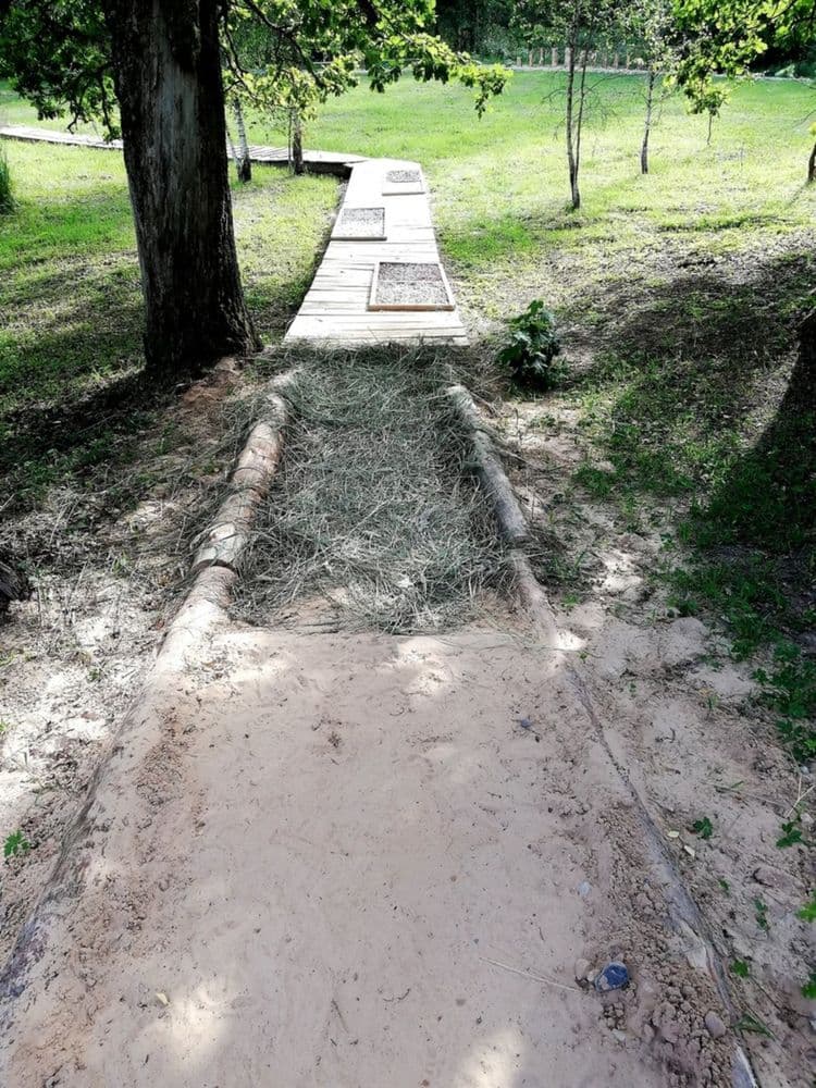 Anykščių šilelio eko basų kojų takas #3