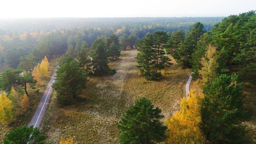 Avino kalnas (Avikalnis) #2