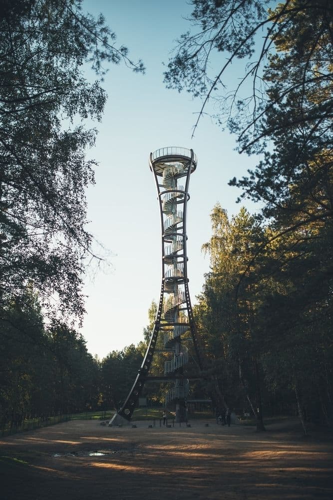 Labanoro regioninio parko (Mindūnų) apžvalgos bokštas #2