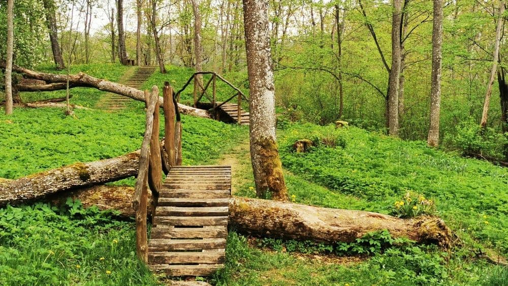 Jurkiškio upelio pažintinis takas