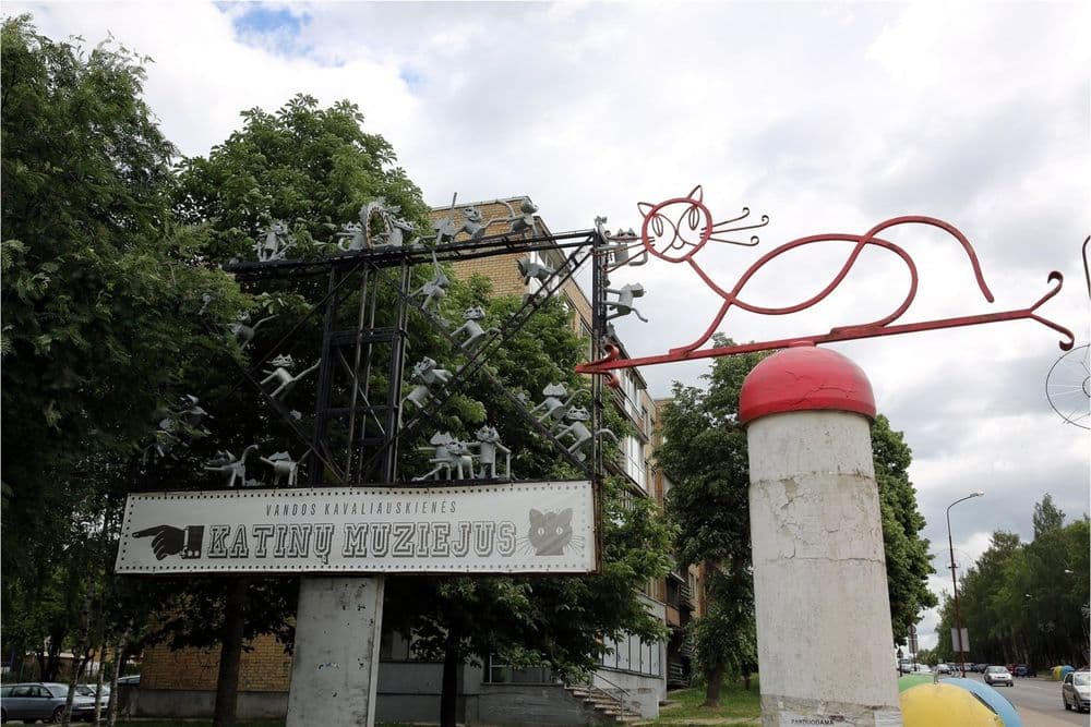 Katinų muziejus #2