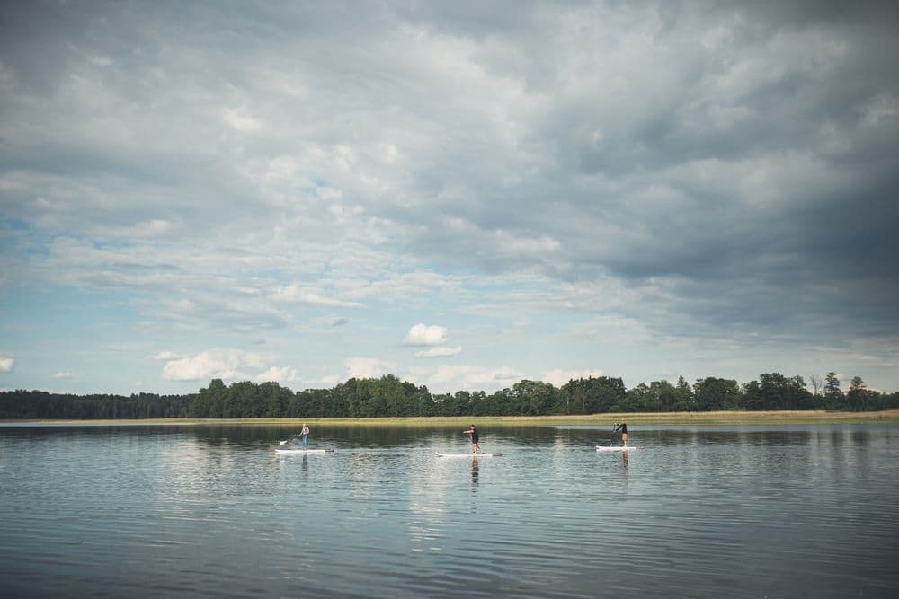 Alaušo ežero pakrantė #3