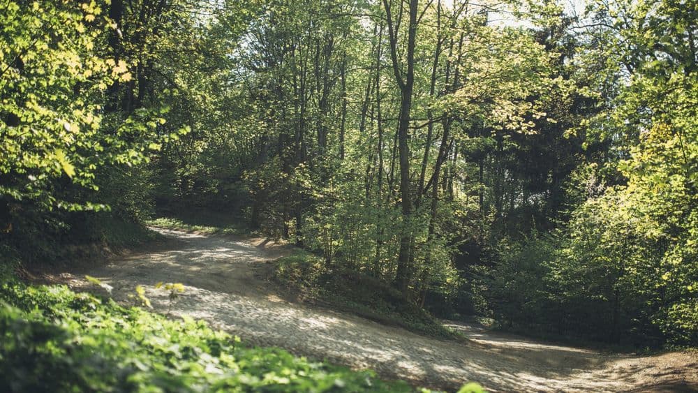 Tuputiškių serpantinas #2