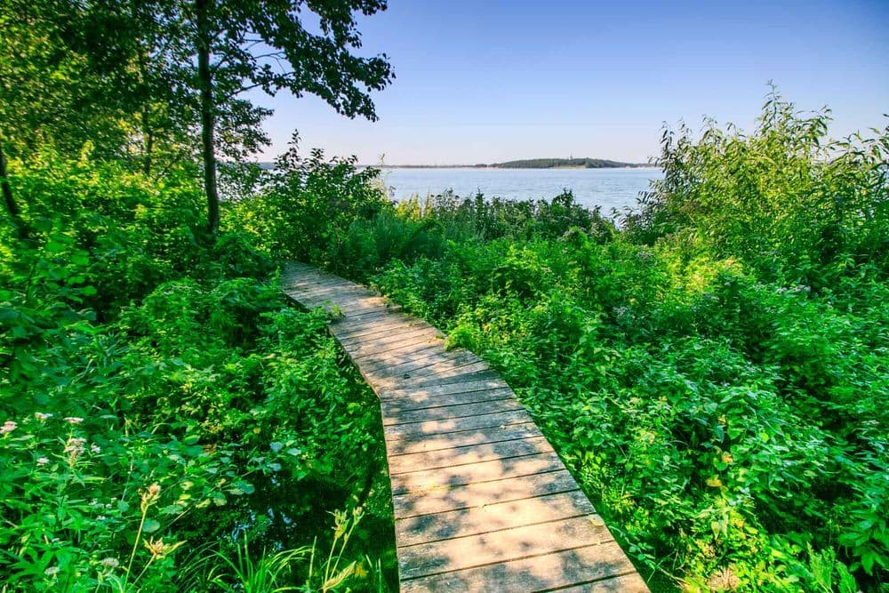 Laumėnų pažintinis takas #2