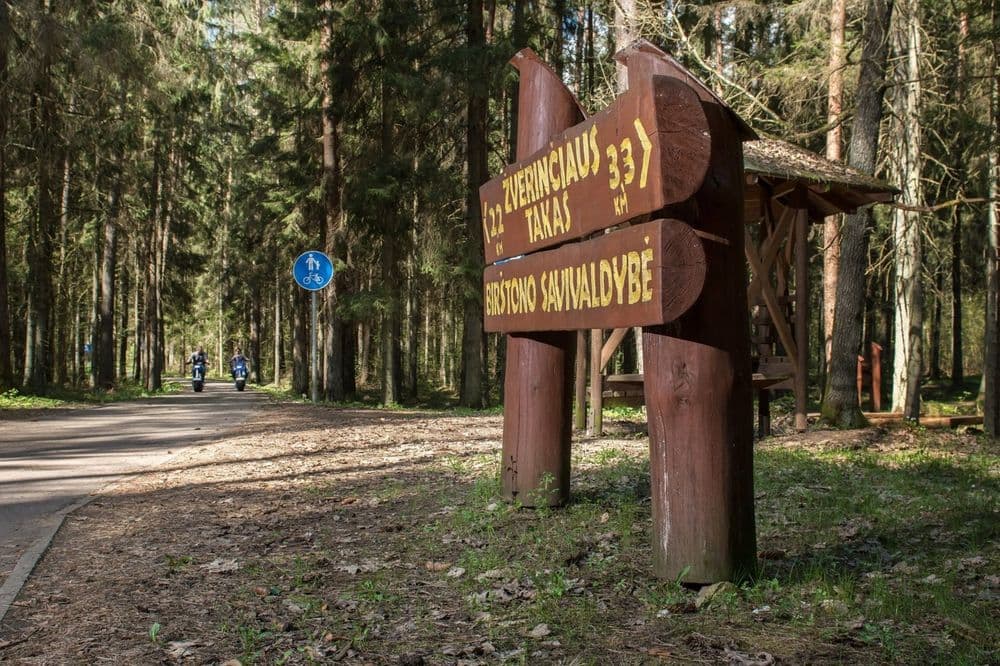 Žvėrinčiaus miško takas #5