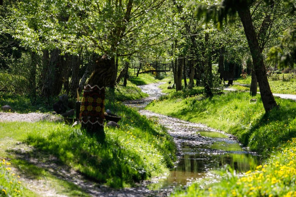 Vaiguvos upė-gatvė