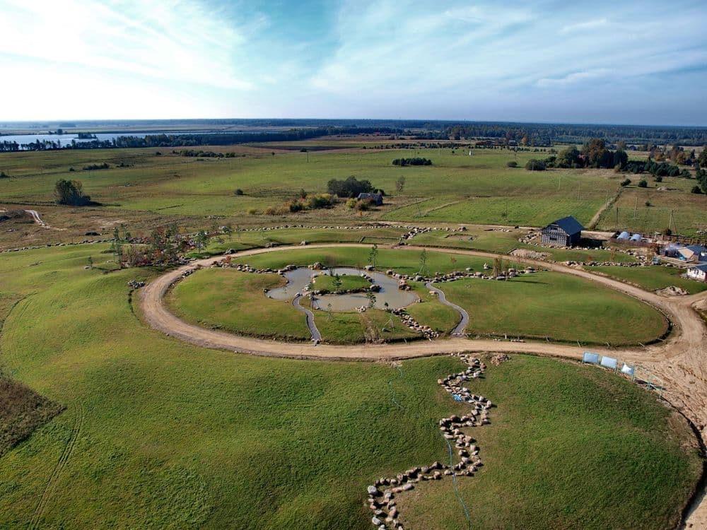 Japoniškas sodas #2