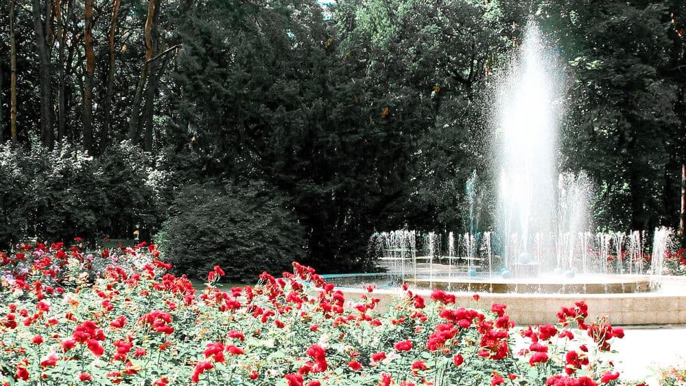 Alytaus miesto sodas #2