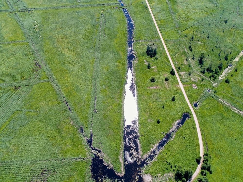 Tulkiaragės pažintinis takas #3