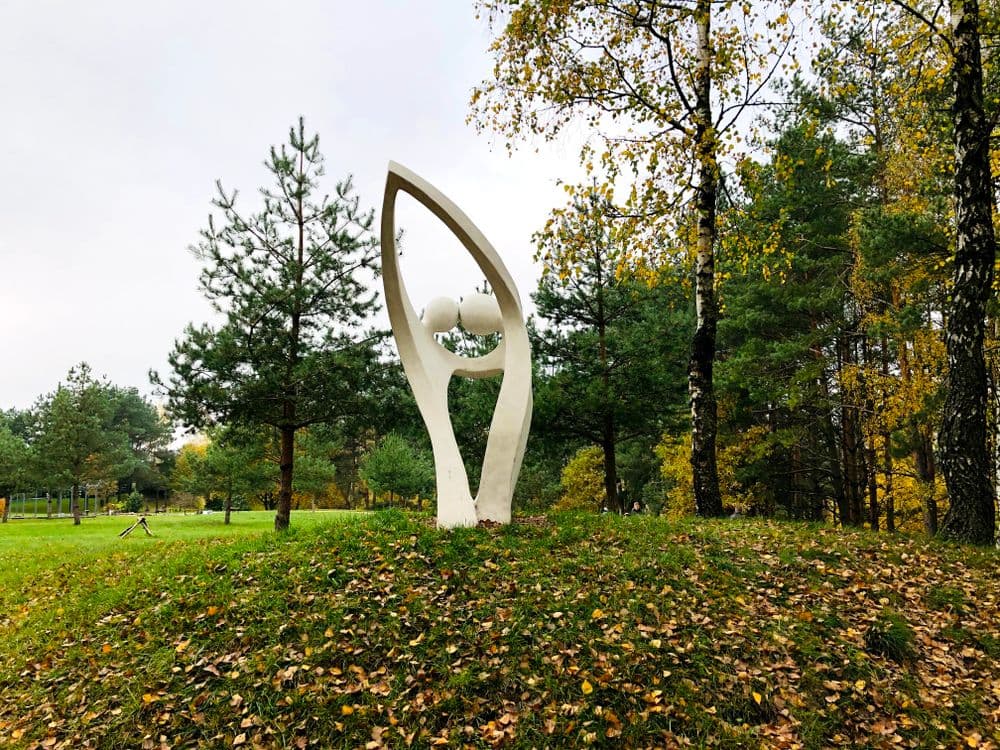 Ribiškių - Misiūnų (Pavilnių regioninio parko) regykla #5