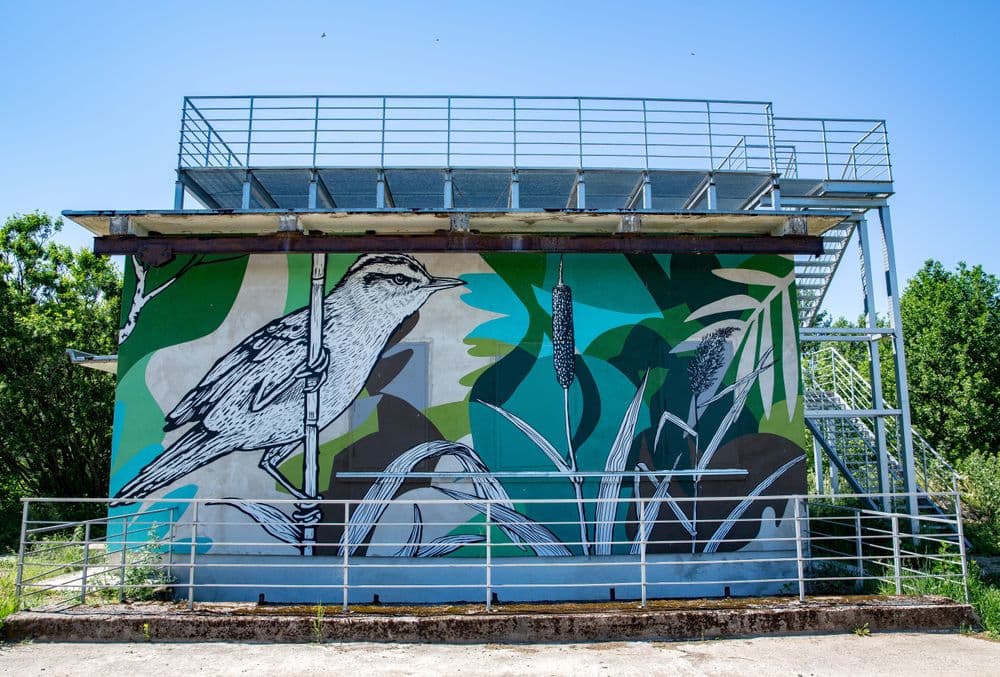 Tulkiaragės pažintinis takas #2