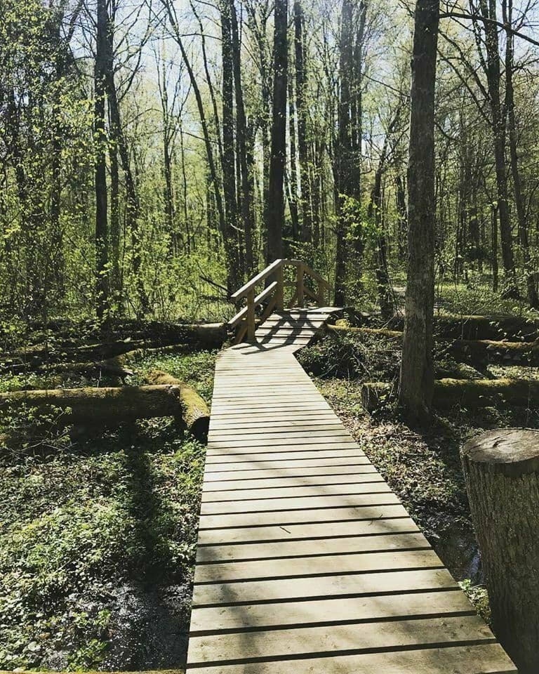 Buktos gamtinis pažintinis takas