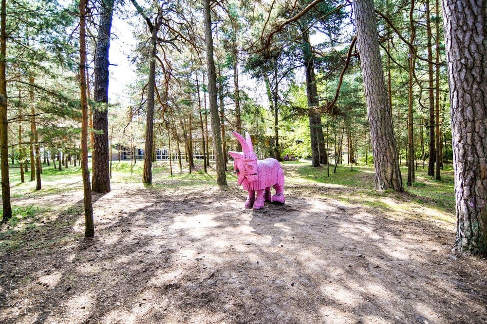 Palangos pasakų parkas #3